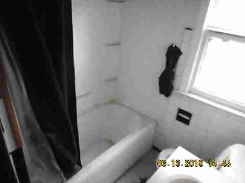 8266 Badger (14)_m.jpg